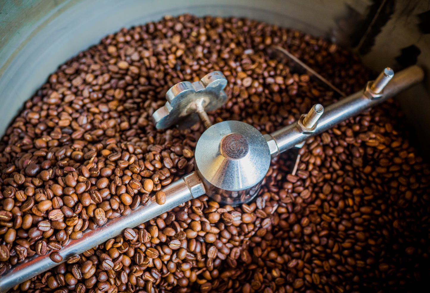Roasted Arabica beans cooling in the roaster drum